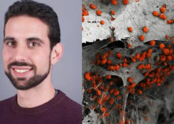 El esteponero Andrés García crea junto a su equipo la primera médula ósea en laboratorio para tratar el cáncer