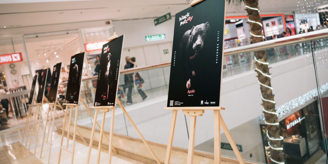 Miramar reitera su compromiso con el bienestar animal en la II edición del ‘Black Pet Day’