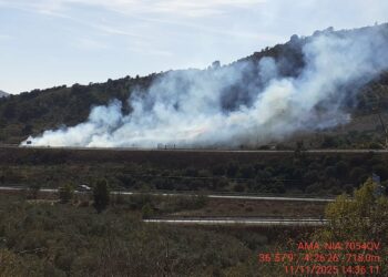 Dos incendios forestales mantienen la alerta en la provincia de Málaga: así evolucionan