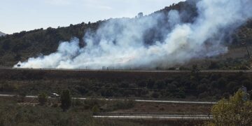 Dos incendios forestales mantienen la alerta en la provincia de Málaga: así evolucionan