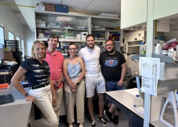 Investigadores andaluces identifican dos moléculas que controlan la regeneración celular del corazón