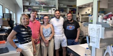 Investigadores andaluces identifican dos moléculas que controlan la regeneración celular del corazón