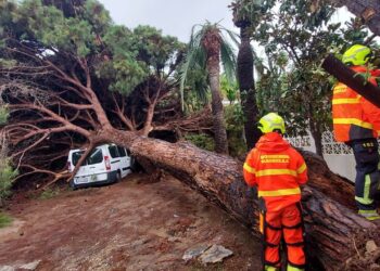La borrasca Claudia obliga a los servicios de emergencia a realizar 36 intervenciones en Marbella