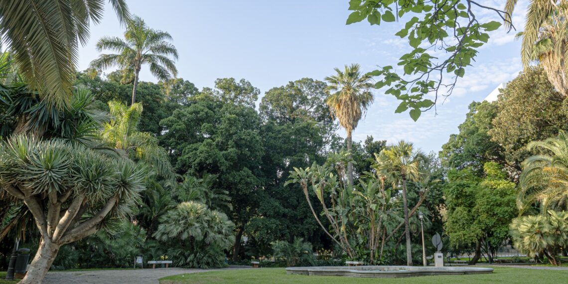 Prisión provisional para el detenido por el asesinato del indigente en los Jardines de Picasso