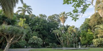 Prisión provisional para el detenido por el asesinato del indigente en los Jardines de Picasso