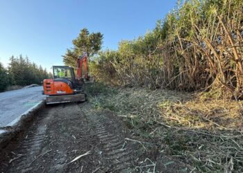 Comienzan las obras para dotar de acerado y medidas de calmado de tráfico a la carretera de Benahavís