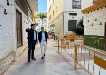 El Ayuntamiento de Marbella ejecuta de forma subsidiaria la reparación de tres socavones en el Paseo de Las Palmeras