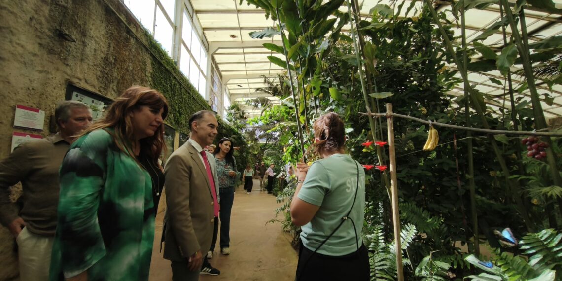 De Mariposario a Monowa: un nuevo vuelo por la biodiversidad en Benalmádena