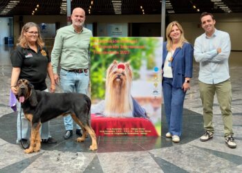 Cerca de 2.000 canes de 153 razas participan en Torremolinos en la feria internacional del perro
