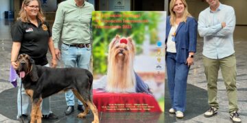 Cerca de 2.000 canes de 153 razas participan en Torremolinos en la feria internacional del perro