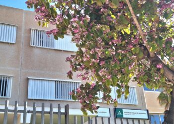 Los centros educativos de Torremolinos recibirán casi 320.000 euros para la mejora de la climatización de sus espacios