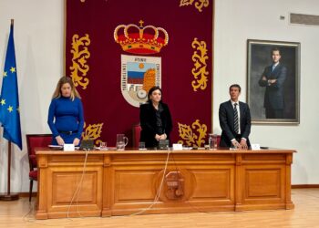 Torremolinos aprueba una moción para exigir al gobierno central medidas urgentes para mejorar la movilidad