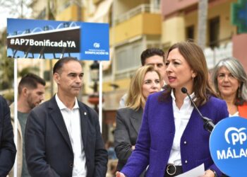 El PP critica que «Gobierno trata de reducir problema de la movilidad a rifirrafe político para no bonificar AP-7»