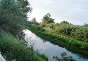 El Corredor Verde del Guadalhorce avanza con dos nuevos proyectos en Alhaurín de la Torre y Pizarra