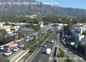 Atropellan a un ciclista de 66 años en la A-7 por San Pedro Alcántara