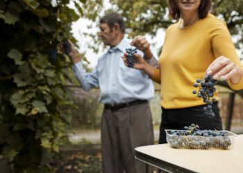 Dos formas de vivir el vino entre montañas: cuando la cordillera separa estilos, climas y filosofías enológicas