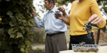 Dos formas de vivir el vino entre montañas: cuando la cordillera separa estilos, climas y filosofías enológicas