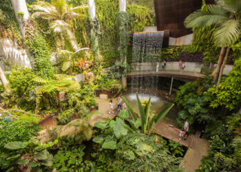 El Parque Botánico Orquidario cumple diez años con más de medio millón de visitas desde su apertura