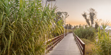 Estepona avanza en la fase final del corredor litoral y adjudica la construcción del tramo en Bahía Dorada