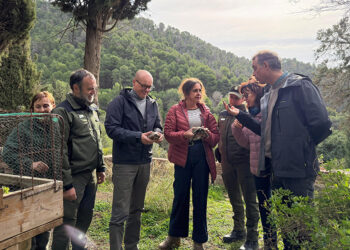 La Junta destina 6,3 millones desde 2019 para la conservación y protección del Parque Natural Montes de Málaga
