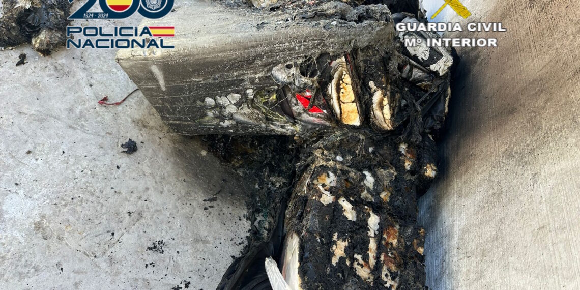 La Policía y la Guardia Civil desarticulan una organización criminal dedicada al tráfico internacional de cocaína en la Costa del Sol