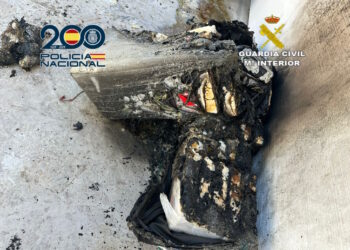 La Policía y la Guardia Civil desarticulan una organización criminal dedicada al tráfico internacional de cocaína en la Costa del Sol