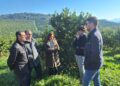La Junta abona las indemnizaciones a más de 2.000 agricultores malagueños que han sufrido pérdidas por la sequía y las DANAS