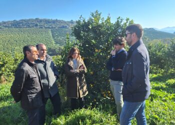 La Junta abona las indemnizaciones a más de 2.000 agricultores malagueños que han sufrido pérdidas por la sequía y las DANAS