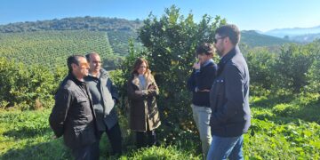 La Junta abona las indemnizaciones a más de 2.000 agricultores malagueños que han sufrido pérdidas por la sequía y las DANAS
