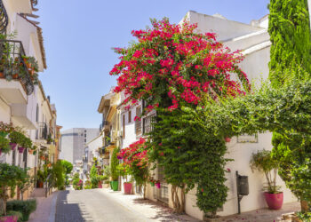 Estepona, reconocida por la excelencia de sus jardines en el certamen ‘Andalucía en Flor’