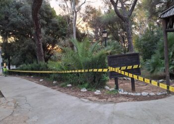 Marbella cierra parques ante la previsión de fuertes rachas de viento y lluvias