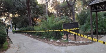 Marbella cierra parques ante la previsión de fuertes rachas de viento y lluvias