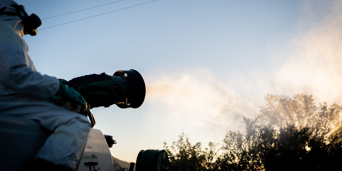 Málaga pone en marcha el plan de trabajos biológicos preventivos contra la procesionaria del pino