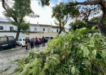 El Ayuntamiento de Fuengirola actúa en una treintena de incidencias producidas por el fuerte viento de la pasada madrugada