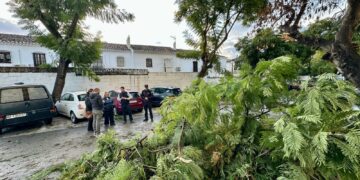 El Ayuntamiento de Fuengirola actúa en una treintena de incidencias producidas por el fuerte viento de la pasada madrugada