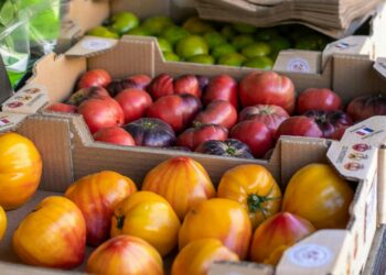 Científicos andaluces mejoran la detección de pesticidas en frutas y verduras para aumentar la seguridad alimentaria