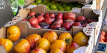 Científicos andaluces mejoran la detección de pesticidas en frutas y verduras para aumentar la seguridad alimentaria