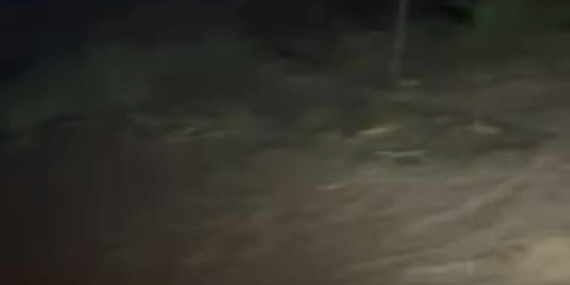 El río Guadalhorce se desborda a su paso por Cártama y casi roza sus máximos históricos