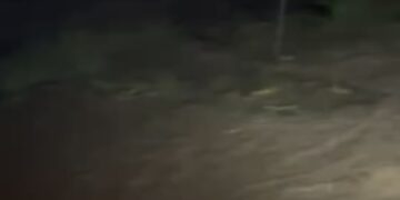 El río Guadalhorce se desborda a su paso por Cártama y casi roza sus máximos históricos