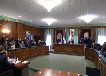 Marbella aprueba un suplemento de crédito de 4,7 millones para  punto limpio de San Pedro Alcántara, la climatización de colegios y el proyecto del albergue África