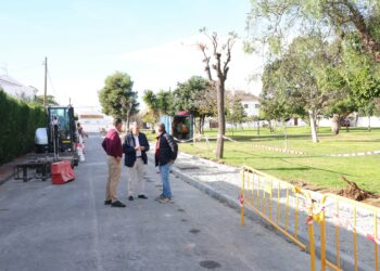 El Ayuntamiento mejora la accesibilidad y la movilidad peatonal en la calle Guadiamar de San Pedro Alcántara