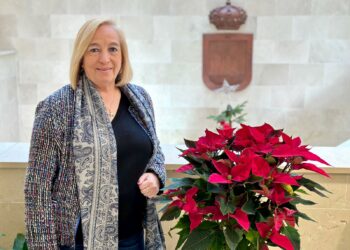 El Ayuntamiento de Fuengirola ha gestionado 106 expedientes de contratación mayor y 360 contratos menores en 2025