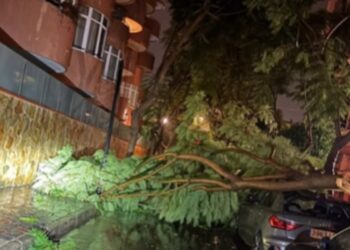 Noche aciaga por el temporal: árboles caídos, coches dañados y el alumbrado de La Cala de Mijas, derribado