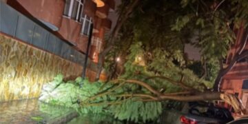 Noche aciaga por el temporal: árboles caídos, coches dañados y el alumbrado de La Cala de Mijas, derribado