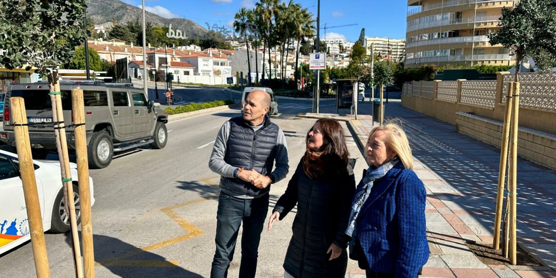 El Ayuntamiento de Fuengirola repone más de un centenar de árboles en la avenida de Las Gaviotas