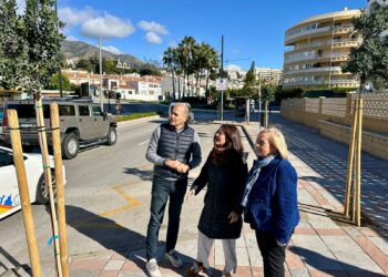 El Ayuntamiento de Fuengirola repone más de un centenar de árboles en la avenida de Las Gaviotas