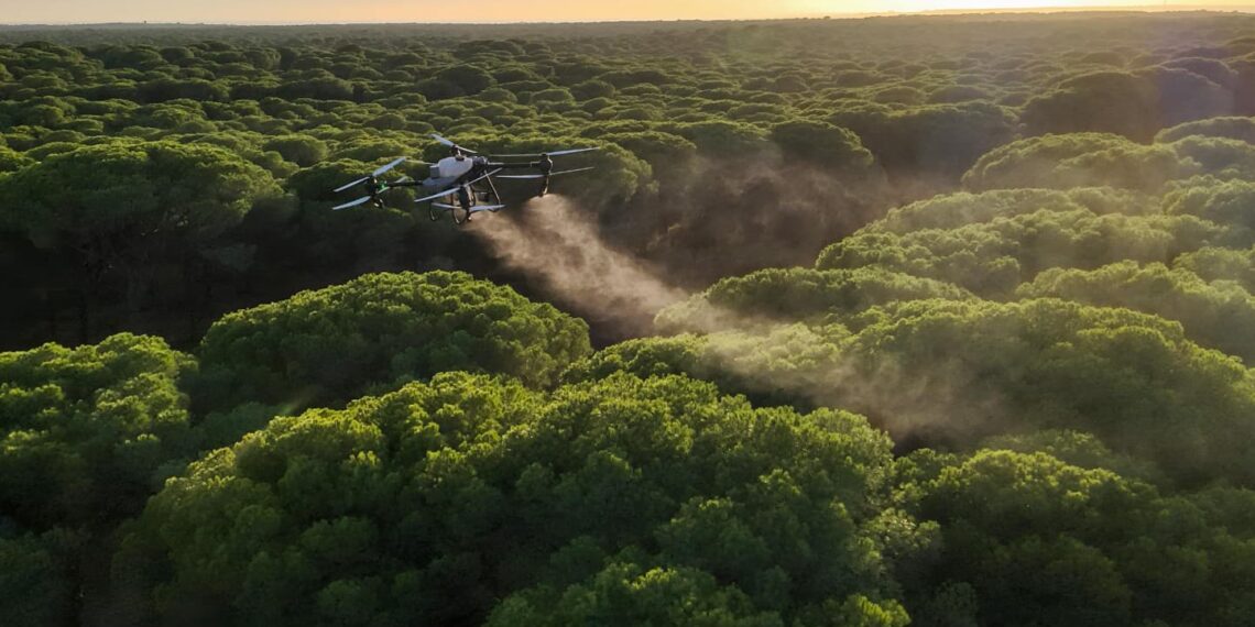 La Junta realiza por primera vez tratamientos aéreos con drones contra la procesionaria del pino y cubre 449,21 hectáreas en Málaga