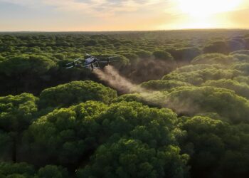 La Junta realiza por primera vez tratamientos aéreos con drones contra la procesionaria del pino y cubre 449,21 hectáreas en Málaga