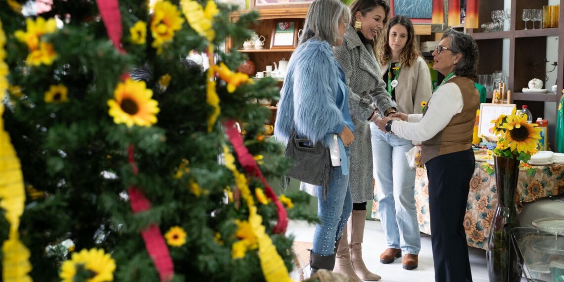 El Ayuntamiento conmemora el Día Internacional del Voluntariado con un reconocimiento a la labor solidaria del tejido asociativo de Benalmádena
