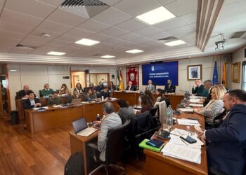 Benalmádena aprueba de manera inicial el Reglamento Orgánico Municipal